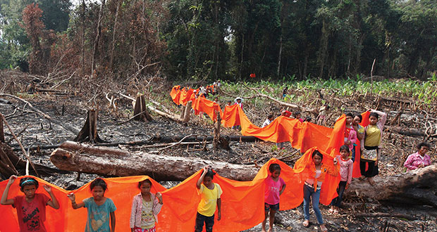 ¿Quieres ayudar a combatir los incendios en el Amazonas?