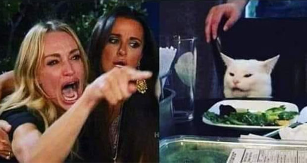 El meme del gato en la mesa tiene una historia, aquí te la contamos