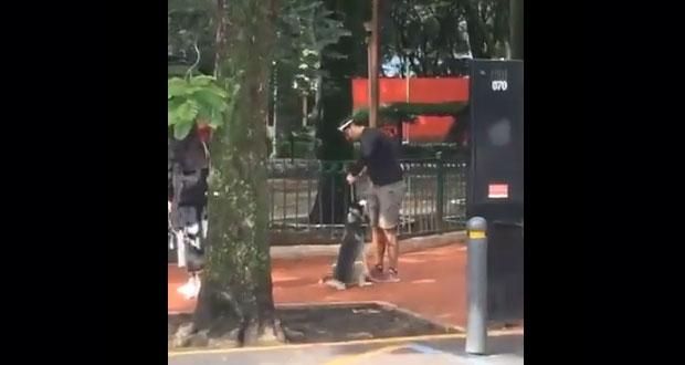 Supuesto entrenador ahorca a perro como castigo por morderlo