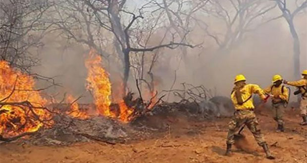 Incendio en Amazonas se agrava; ya afecta a municipios de Bolivia