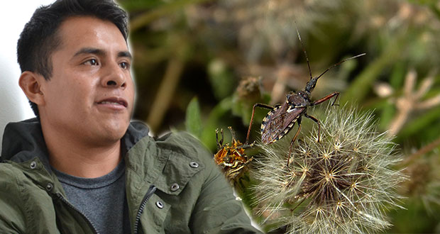 Egresado de la BUAP gana Premio de Entomología por su tema de tesis