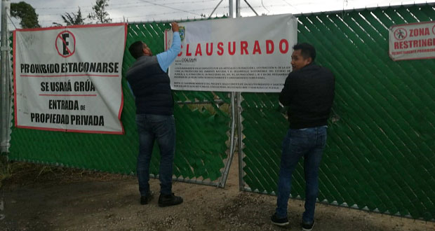 Medio Ambiente clausura tala de árboles en Lomas de San Juan