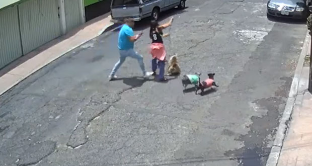Mujer camina con su perro cuando es tacleada por hombre en CDMX