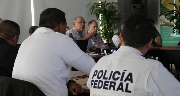 Profepa y seguridad nacional van contra de tráfico de especies