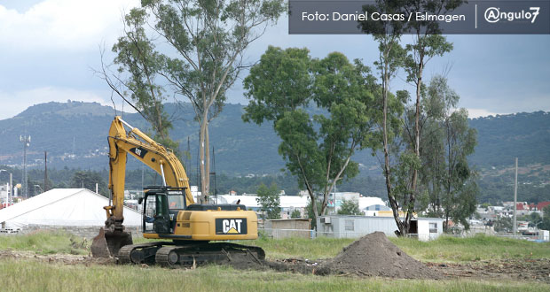Congreso revisará permisos “ilegales” para talar árboles en Lomas de San Juan