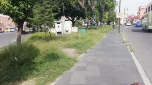 Pasto crecido, indigentes y con ambulantes, así lucen algunos parques del CH