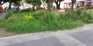 Pasto crecido, indigentes y con ambulantes, así lucen algunos parques del CH