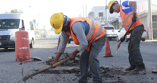 Llega el “Bachero” a calles de San Manuel, La Paz y Reforma Sur