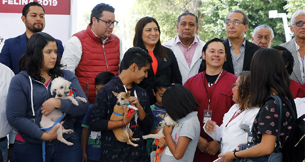 ¿Ya vacunaste a tu mascota contra la rabia? Inicia campaña en Puebla. Foto: Especial