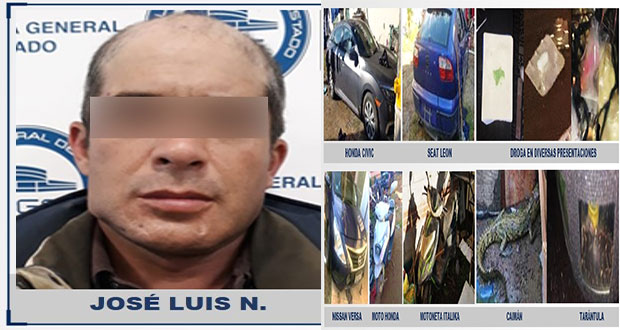 FGE realiza cateos y asegura siete autos, autopartes y narcóticos