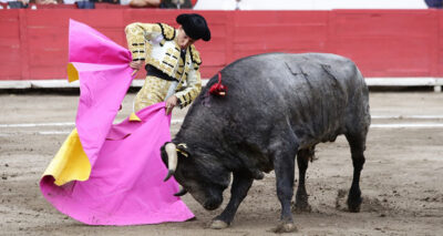 59% a favor de prohibir corridas de toros en México: Reforma