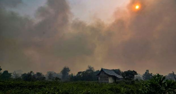 Cientos de incendios en Indonesia cubren de humo Singapur y Malasia
