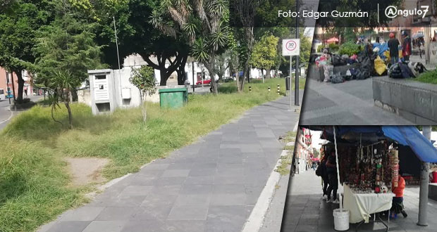 Pasto crecido, indigentes y con ambulantes, así lucen algunos parques del CH