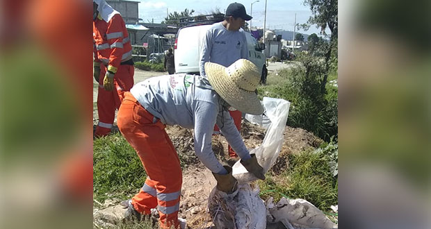 Antorcha gestiona limpieza de barranco en colonia Primero de Mayo