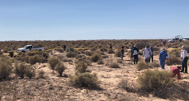 Colectivo Mujeres Buscadoras halla 13 cuerpos en Sonora