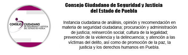 biografia-columnista-Consejo-Ciudadano-de-Seguridad-y-Justicia-del-Estado-de-Puebla