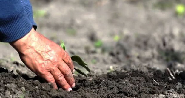 Colectivo denuncia amenazas de muerte a 4 defensores de la tierra en Puebla