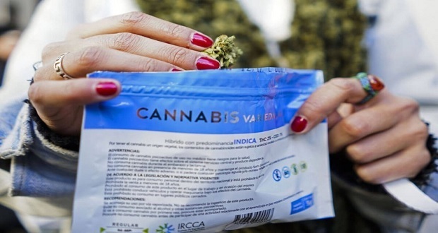 Uruguay se vuelve pionero en exportación de cannabis medicinal