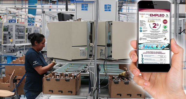 ¿Buscas trabajo? Checa la plataforma que el gobierno tiene para ti