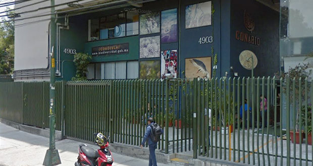 Comisión Nacional para la Biodiversidad será un OPD; no desaparece