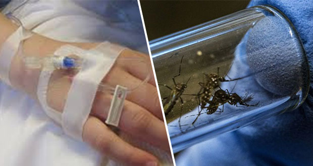 Puebla, séptimo en casos de dengue; confirman 949, 18 de ellos como graves