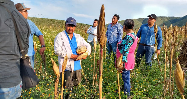 Asesoran a agricultores de Tulcingo para subir su producción