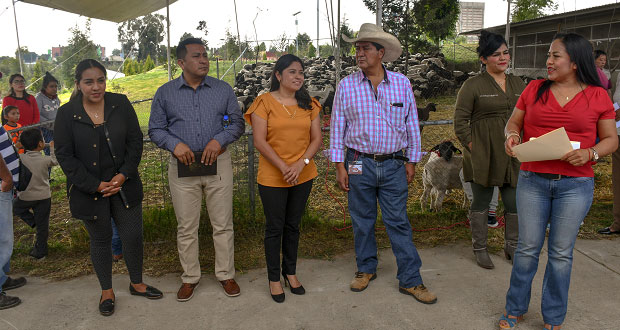 Entrega Cuautlancingo 400 cabezas de ganado a familias vulnerables