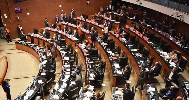En Senado, frenan que Rosario Piedra asuma CNDH y repondrán elección