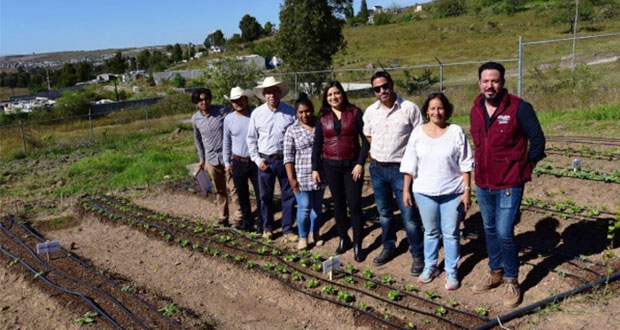 Presentan avances de huertos urbanos en Canoa y Azumiatla