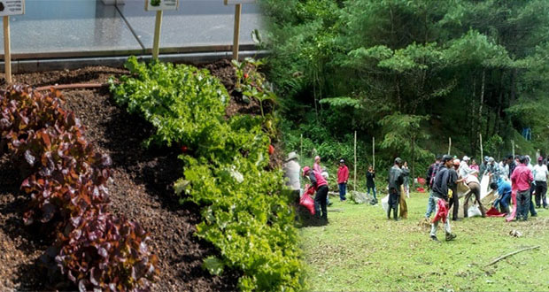 ONGs harán foro sobre desarrollo regional; plantearán aldeas autosuficientes