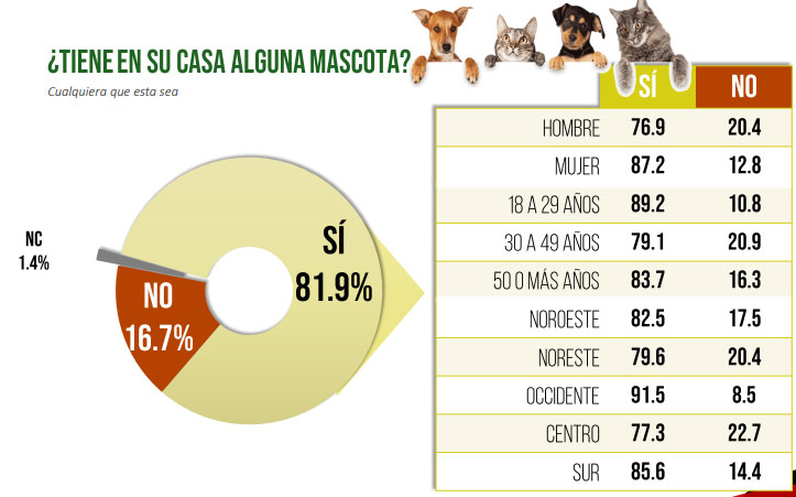 Mitofsky: 87% de mujeres y 76% de hombres en México tienen mascotas