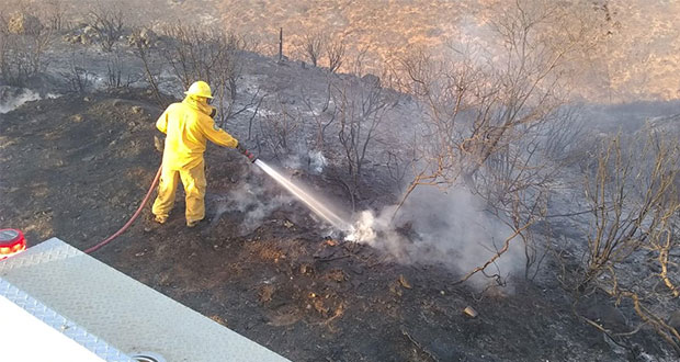 Tras 10 días de trabajos, sofocan incendios en Baja California