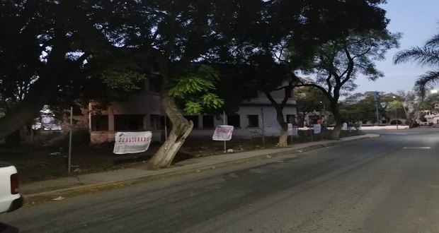 Medio Ambiente clausura trasplante de árboles en Tehuacán