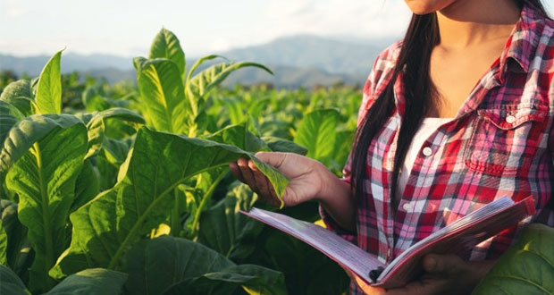Discriminación a mujer poblana en el campo: solo 28% son ejidatarias: PED
