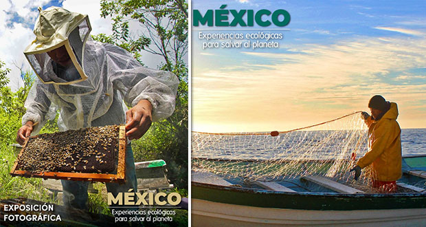 Aprovecha el puente y ve a la exposición fotográfica en Chapultepec