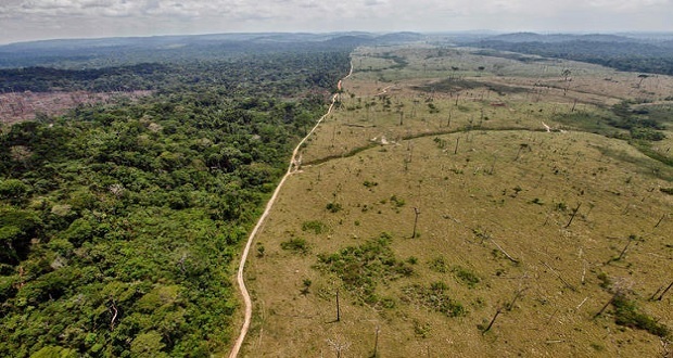 Alerta la NASA sequia del Amazonas debido a actividades humanas