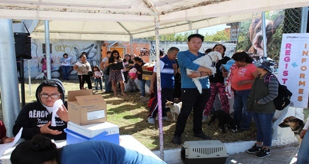 Comuna brinda diversos servicios en colonia Minerales Guadalupe Sur