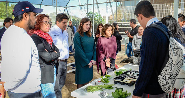 Ayuntamiento busca reducir su huella ecológica