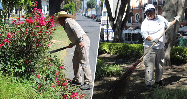 Comuna da mantenimiento a áreas verdes, vialidades y parques