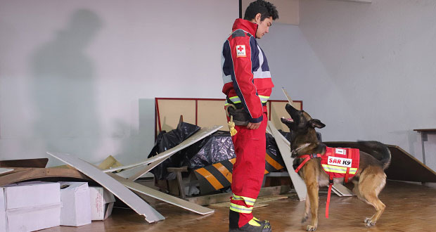 Cruz Roja Puebla, la única del país con binomios caninos de rescate