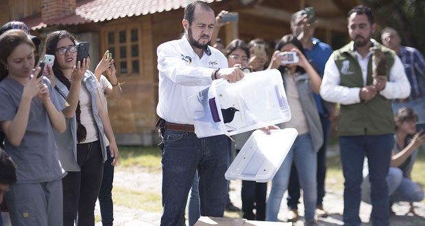 En Flor del Bosque, alumnos de BUAP liberan aves y serpientes rescatadas