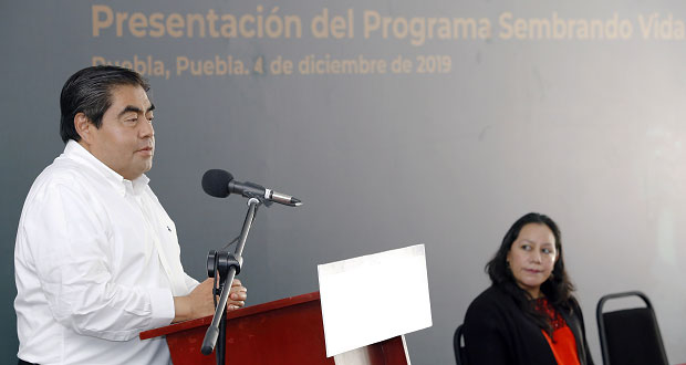 Gobierno instalará destiladora de mezcal en Mixteca poblana