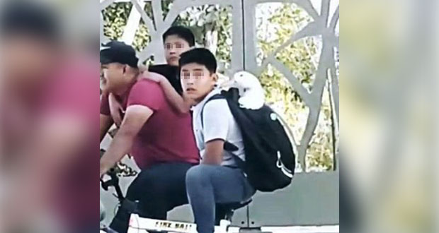 Niño saca a pasear a su pato y lo acusan de robo; gobierno desmiente