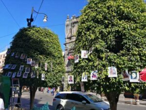 Colocan el “árbol de la esperanza” con 58 fotografías de desaparecidos