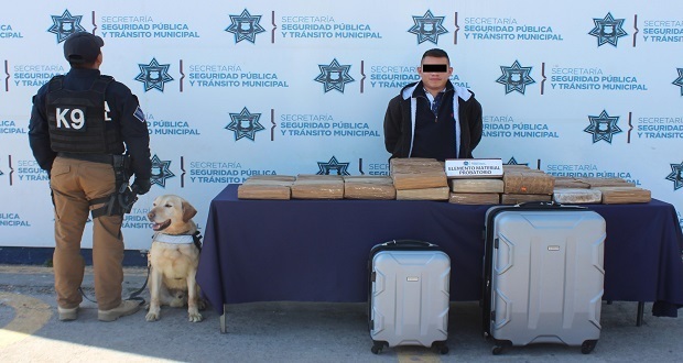 Detienen a sujeto con cerca de 60 kilos de mariguana en la CAPU