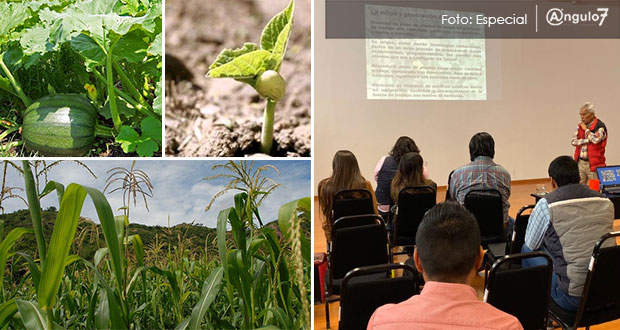 Proponen revitalizar milpa para lograr autosuficiencia alimentaria en Puebla