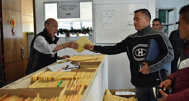 600 jornaleros agrícolas se alistan para viajar a Canadá
