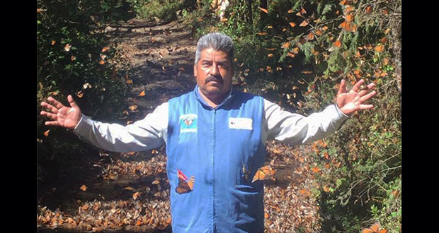 En Michoacán, desaparece Homero Gómez, defensor de mariposa monarca