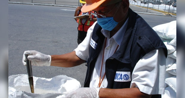 Sader evita 40 plagas a México con rechazo de 1,541 embarques en 2019