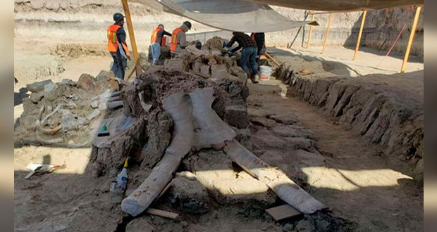En predio de Santa Lucia, hallan restos arqueológicos y de mamuts